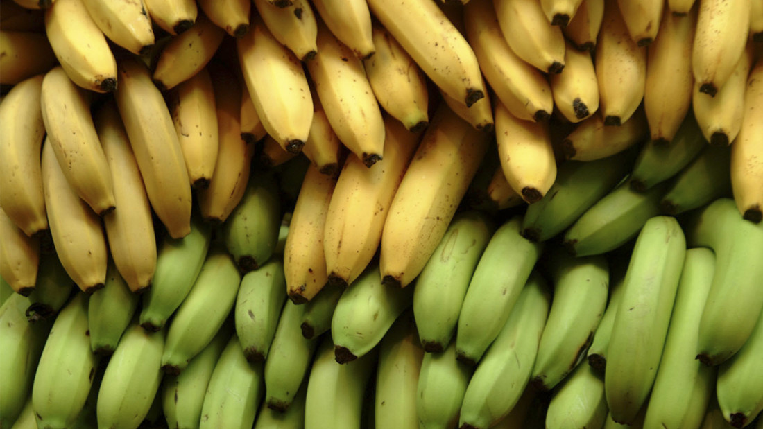 Foto: Plátanos 