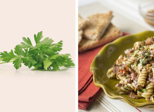 ENSALADA DE PASTA CON TOMATE MARGARITEÑO, EMBUTIDOS Y QUESO DE MANO EDICION 65