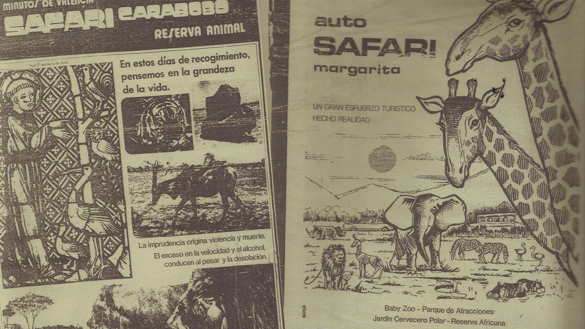 safari carabobo venezuela