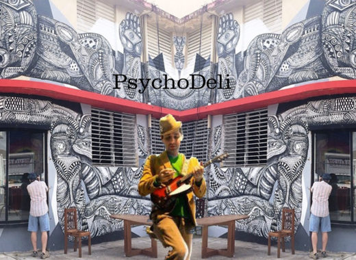 PsychoDeli, calle 13