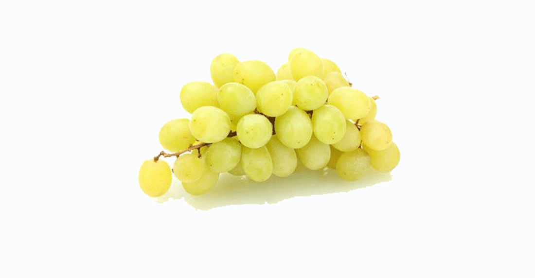 uva blanca, eslovenia