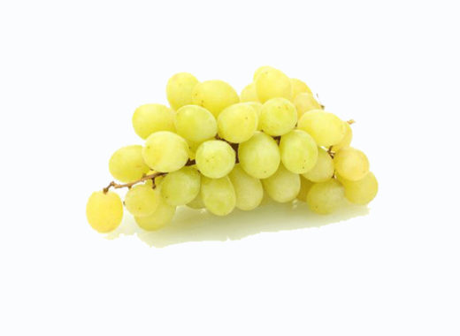 uva blanca, eslovenia