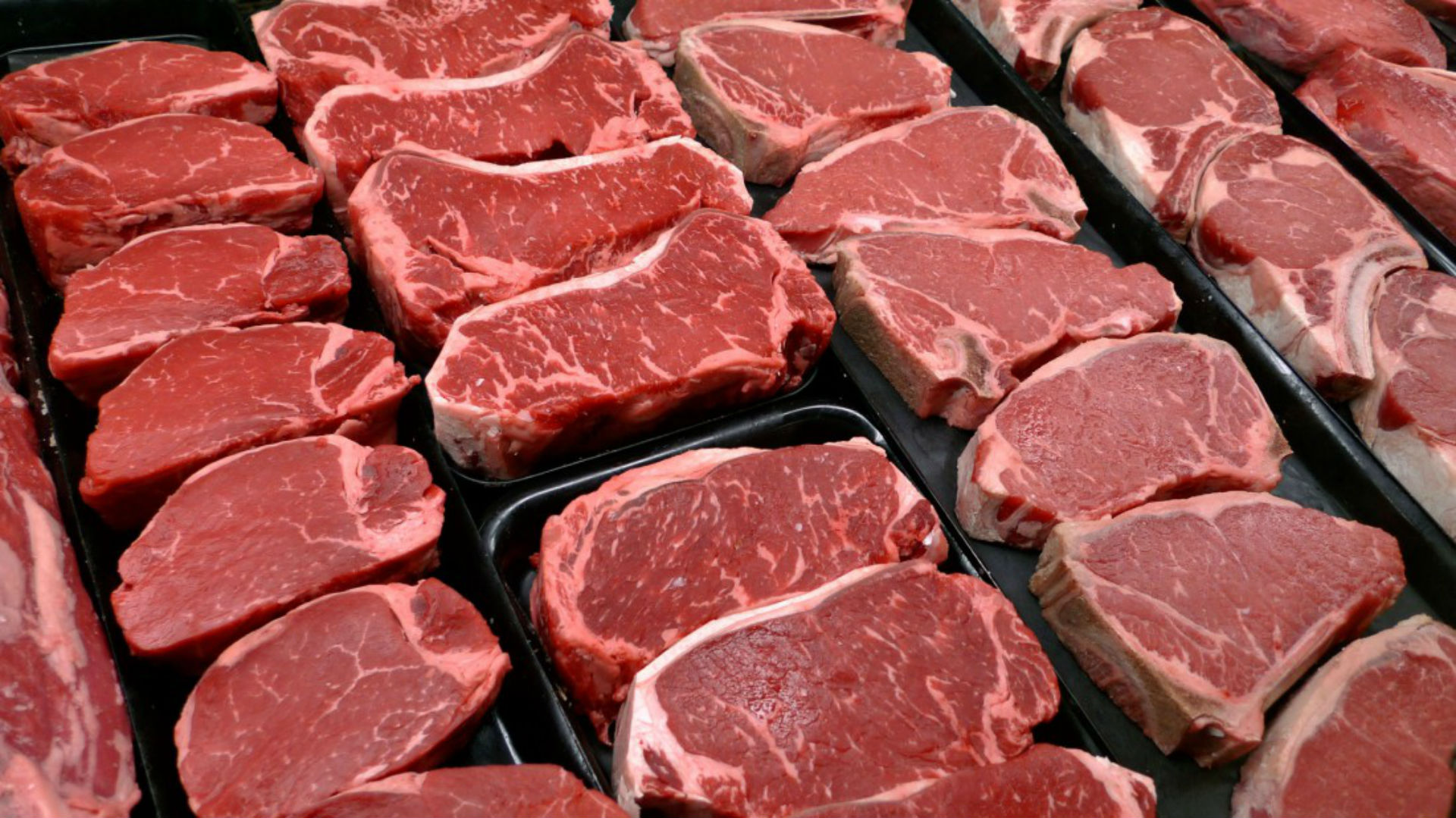 carne bovina