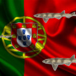 pintarroja bocanegra, portugal