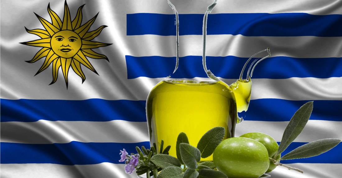 aceite de oliva, uruguay