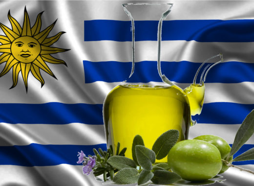 aceite de oliva, uruguay
