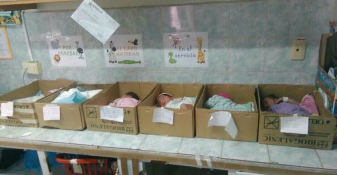recién nacidos en cajas de cartón