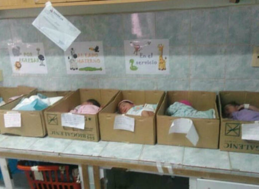 recién nacidos en cajas de cartón