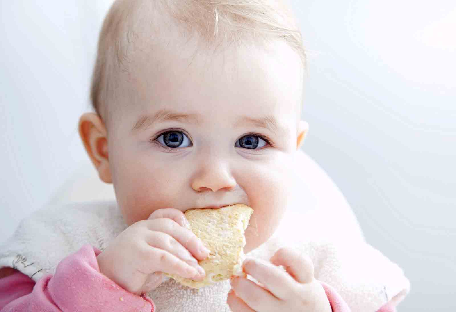 Baby eating teething biscuit