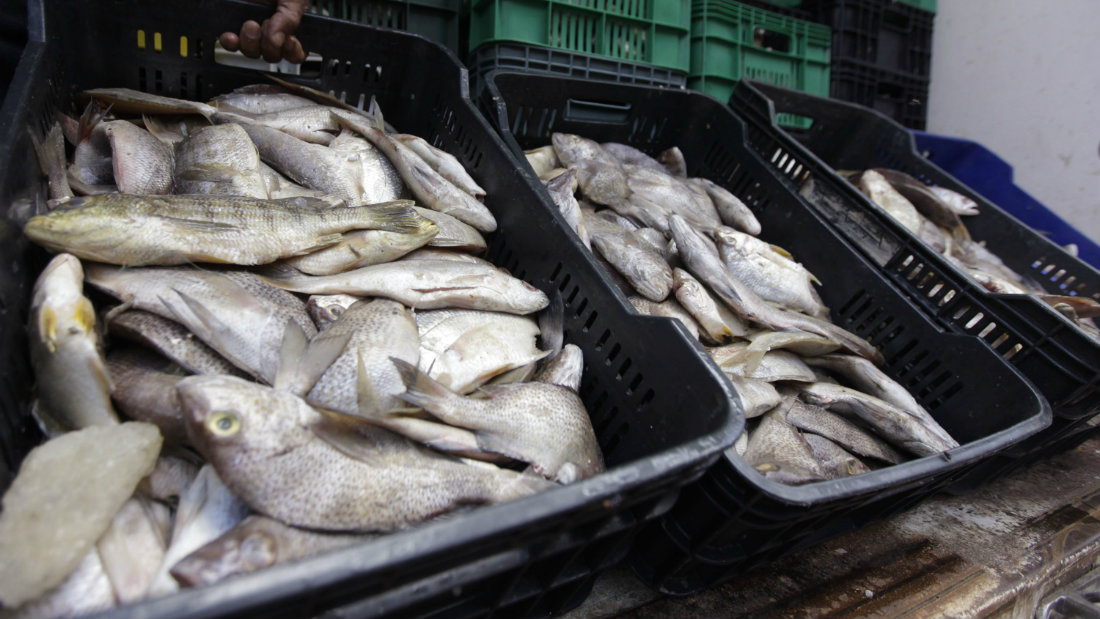 D nde est el pescado se preguntaron venezolanos en Semana Santa