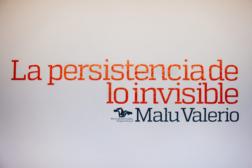 La persistencia de lo invisible. Fotografia de Hector Farias 3