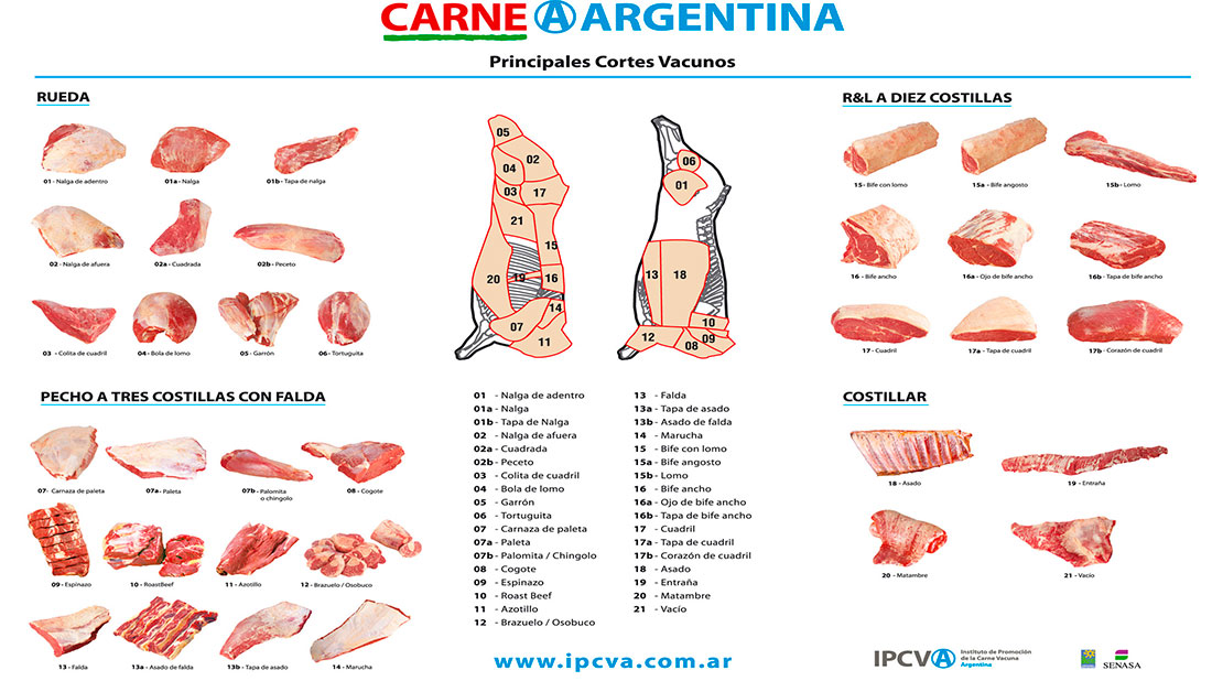 Plano de cortes de carne en argentina