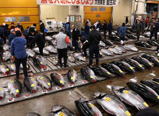 mercado de tsukiji