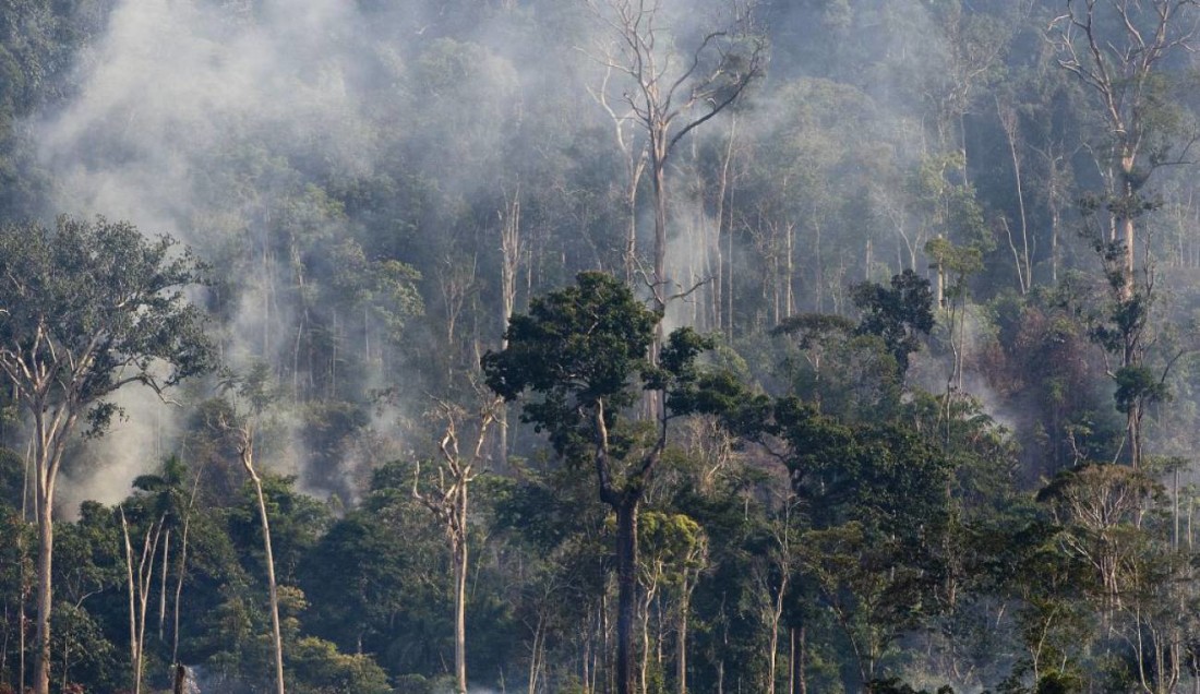 COP26 ofrece salvar los Bosques en 2030