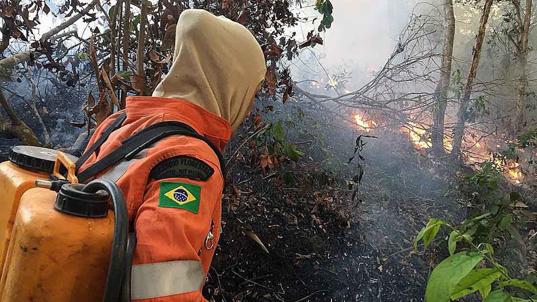 Las ong achacan los incendios en la Amazonía a la retórica de Bolsonaro