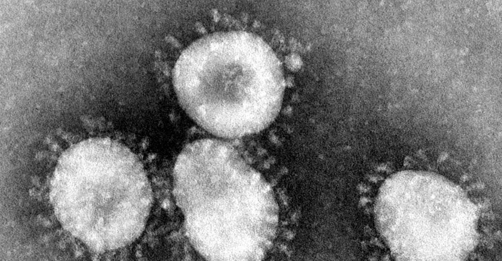 Coronavirus. Archivo