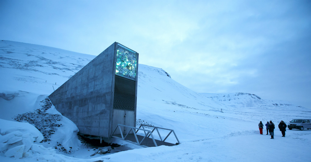 Arca de Noé de semillas en el Ártico. Foto: AFP