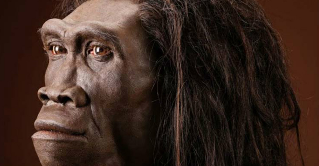 Homo erectus es mucho más antiguo de lo estimado. Foto: Archivo