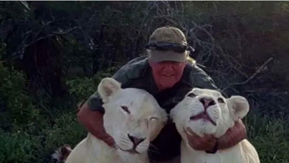 dos leonas matan a su dueño