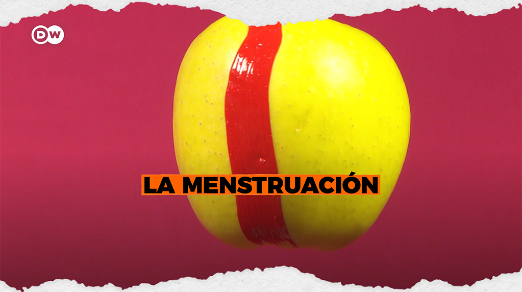 Todo lo que necesitas saber de la menstruación