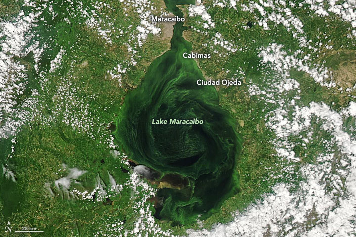 Lago de Maracaibo en imágenes de la NASA