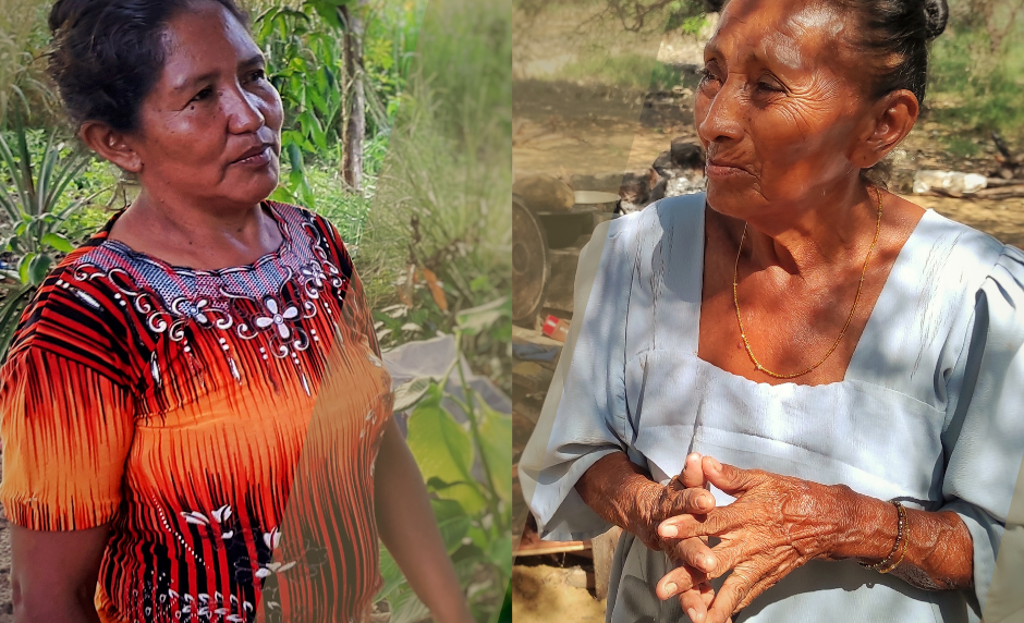 Migraciones Indígenas: wayuu y jivi