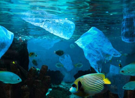 Plásticos ahogan a los mares