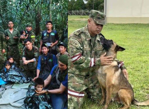 Wilson: qué pasó con el perro rescatista de los niños en Colombia