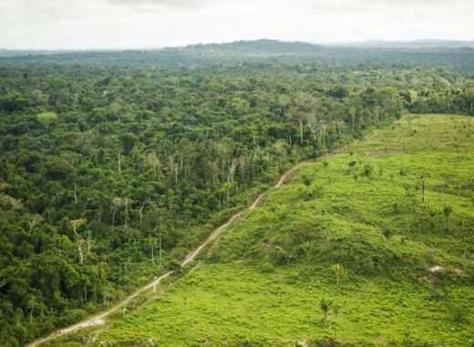 Amazonia y los bancos cómplices