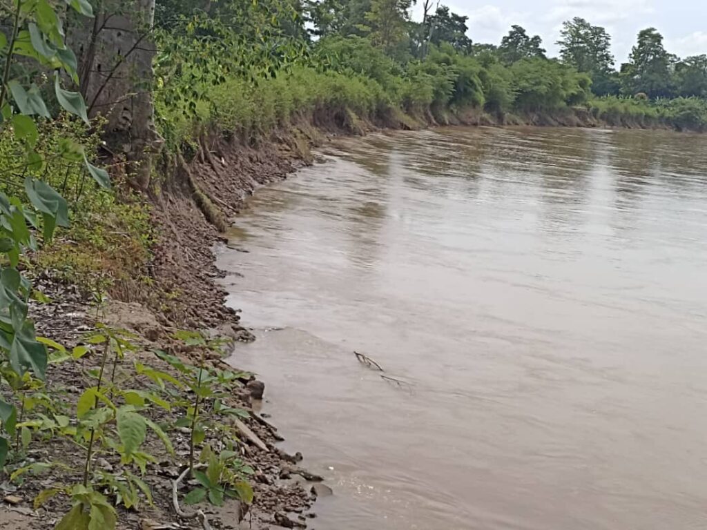Río Zulia