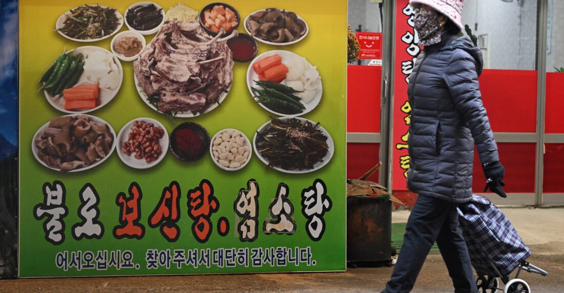 Corea del Sur carne de perro